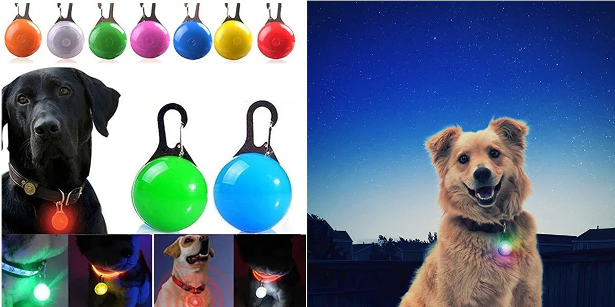 Nova coleira de cachorro luminosa de LED PVC à prova d'água, para cães grandes, médios e pequenos, coleira com luz USB, segurança noturna, acessórios brilhantes para animais de estimação