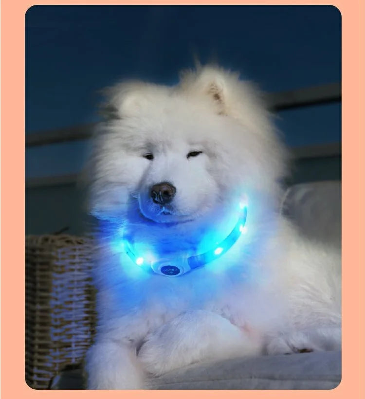 Nova coleira de cachorro luminosa de LED PVC à prova d'água, para cães grandes, médios e pequenos, coleira com luz USB, segurança noturna, acessórios brilhantes para animais de estimação