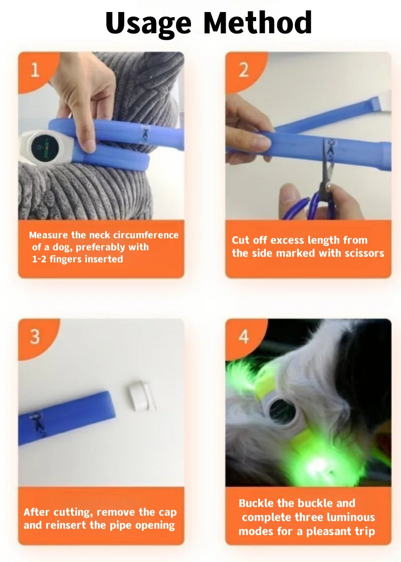 Nova coleira de cachorro luminosa de LED PVC à prova d'água, para cães grandes, médios e pequenos, coleira com luz USB, segurança noturna, acessórios brilhantes para animais de estimação