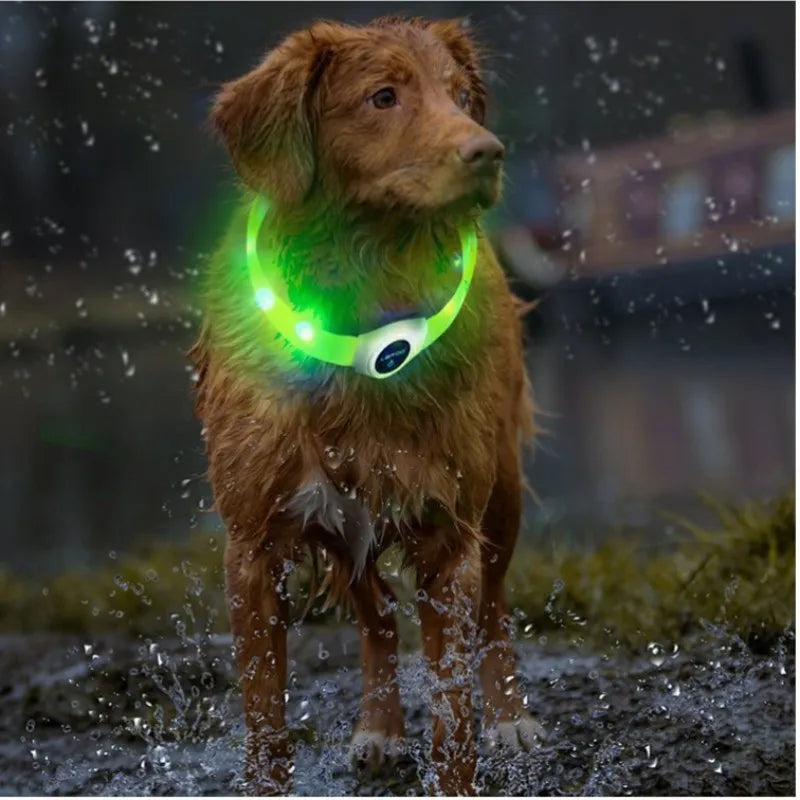 Nova coleira de cachorro luminosa de LED PVC à prova d'água, para cães grandes, médios e pequenos, coleira com luz USB, segurança noturna, acessórios brilhantes para animais de estimação