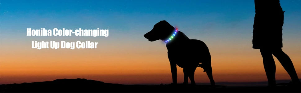 Nova coleira de cachorro luminosa de LED PVC à prova d'água, para cães grandes, médios e pequenos, coleira com luz USB, segurança noturna, acessórios brilhantes para animais de estimação