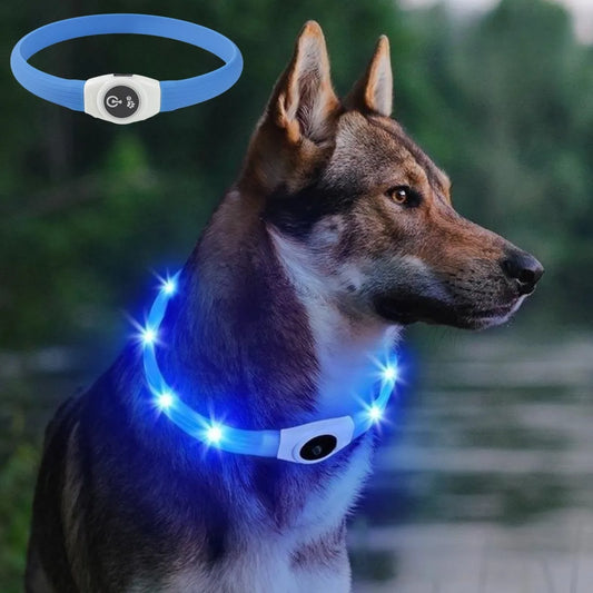 Nova coleira de cachorro luminosa de LED PVC à prova d'água, para cães grandes, médios e pequenos, coleira com luz USB, segurança noturna, acessórios brilhantes para animais de estimação