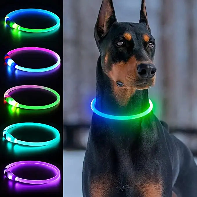 Nova coleira de cachorro luminosa de LED PVC à prova d'água, para cães grandes, médios e pequenos, coleira com luz USB, segurança noturna, acessórios brilhantes para animais de estimação