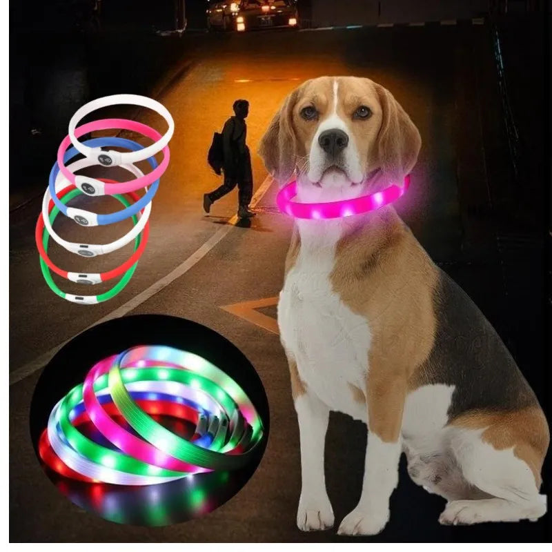 Nova coleira de cachorro luminosa de LED PVC à prova d'água, para cães grandes, médios e pequenos, coleira com luz USB, segurança noturna, acessórios brilhantes para animais de estimação