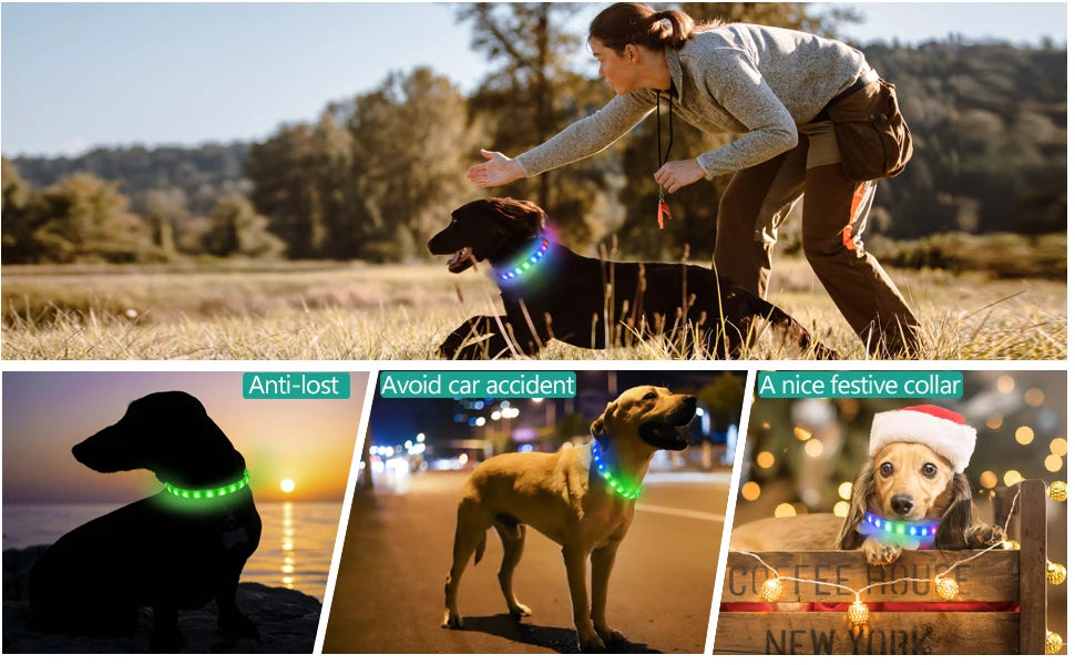 Nova coleira de cachorro luminosa de LED PVC à prova d'água, para cães grandes, médios e pequenos, coleira com luz USB, segurança noturna, acessórios brilhantes para animais de estimação