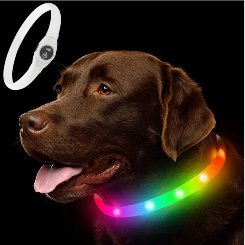 Nova coleira de cachorro luminosa de LED PVC à prova d'água, para cães grandes, médios e pequenos, coleira com luz USB, segurança noturna, acessórios brilhantes para animais de estimação