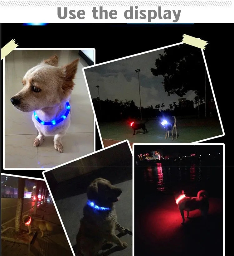 Nova coleira de cachorro luminosa de LED PVC à prova d'água, para cães grandes, médios e pequenos, coleira com luz USB, segurança noturna, acessórios brilhantes para animais de estimação